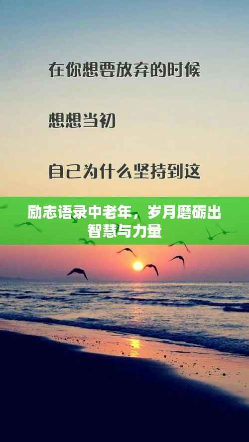 励志语录中老年，岁月磨砺出智慧与力量