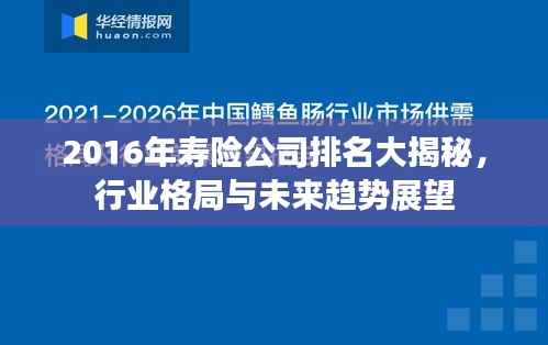 2016年寿险公司排名大揭秘，行业格局与未来趋势展望
