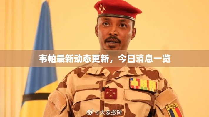 韦帕最新动态更新，今日消息一览
