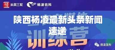 陕西杨凌最新头条新闻速递