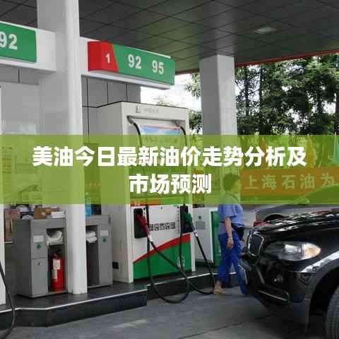 美油今日最新油价走势分析及市场预测