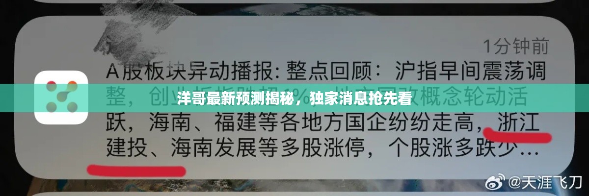 洋哥最新预测揭秘，独家消息抢先看