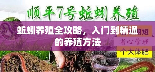 蚯蚓养殖全攻略，入门到精通的养殖方法