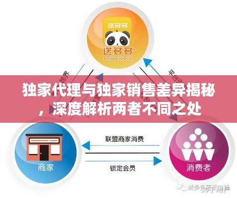 独家代理与独家销售差异揭秘，深度解析两者不同之处