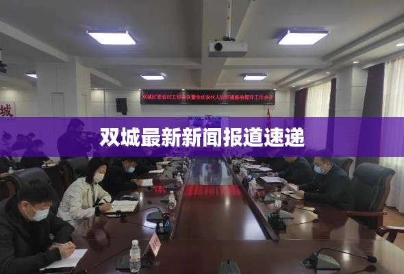 双城最新新闻报道速递