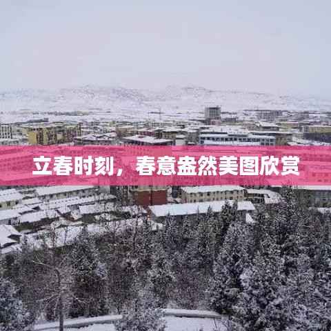 立春时刻，春意盎然美图欣赏