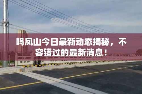 鸣凤山今日最新动态揭秘，不容错过的最新消息！
