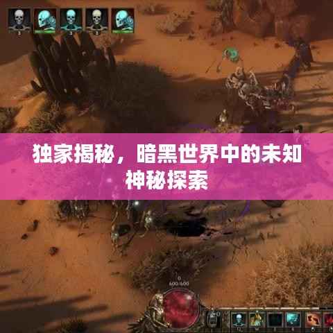 独家揭秘，暗黑世界中的未知神秘探索