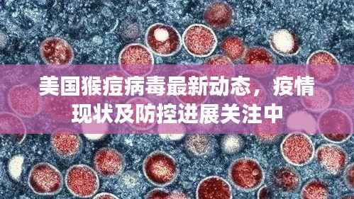 恋恋不舍 第5页