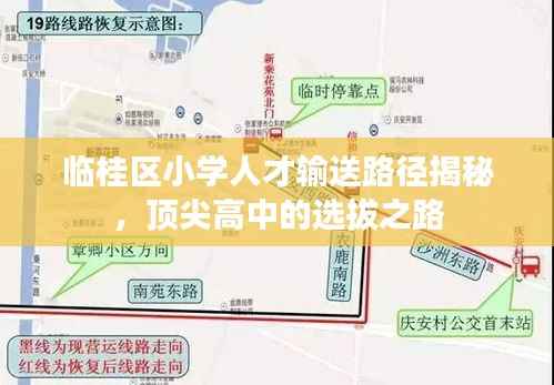 临桂区小学人才输送路径揭秘，顶尖高中的选拔之路