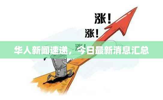 华人新闻速递，今日最新消息汇总