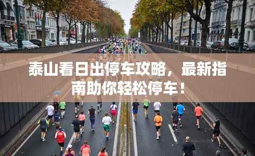 泰山看日出停车攻略，最新指南助你轻松停车！