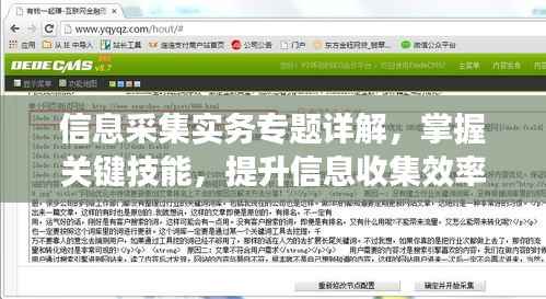 信息采集实务专题详解，掌握关键技能，提升信息收集效率