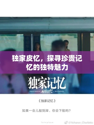 独家皮忆,探寻珍贵记忆的独特魅力