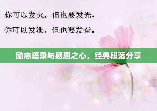 励志语录与感恩之心,经典段落分享