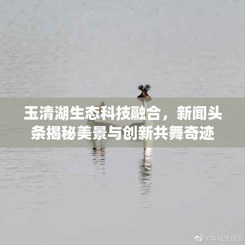 玉清湖生态科技融合，新闻头条揭秘美景与创新共舞奇迹