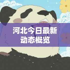 河北今日最新动态概览