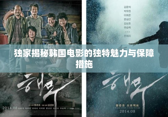 独家揭秘韩国电影的独特魅力与保障措施