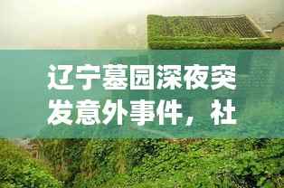 辽宁墓园深夜突发意外事件，社会的警钟与反思