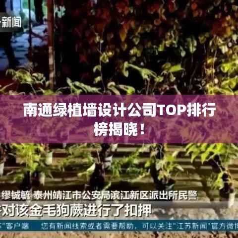 南通绿植墙设计公司TOP排行榜揭晓!