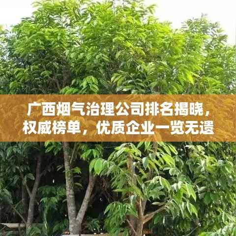 广西烟气治理公司排名揭晓，权威榜单，优质企业一览无遗！