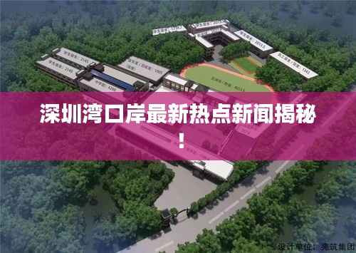深圳湾口岸最新热点新闻揭秘！