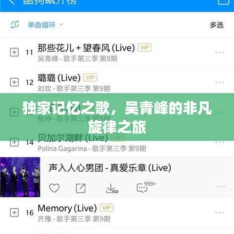 独家记忆之歌,吴青峰的非凡旋律之旅