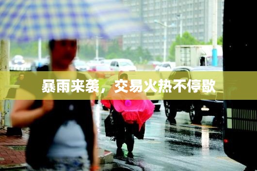 暴雨来袭，交易火热不停歇
