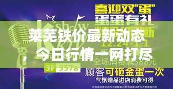 莱芜铁价最新动态,今日行情一网打尽!