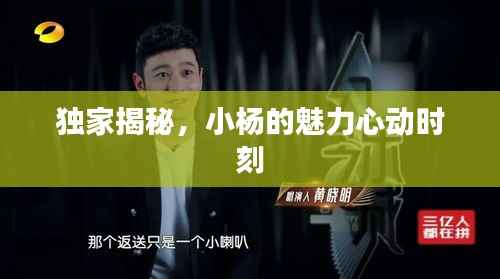 独家揭秘,小杨的魅力心动时刻