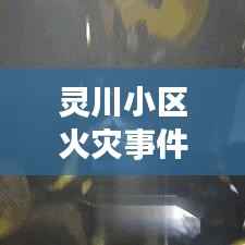 灵川小区火灾事件最新视频报道，现场情况与救援行动全记录