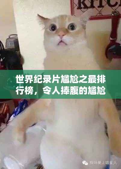 世界纪录片尴尬之最排行榜，令人捧腹的尴尬瞬间大盘点！