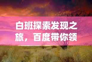 白班探索发现之旅，百度带你领略新境界的魅力
