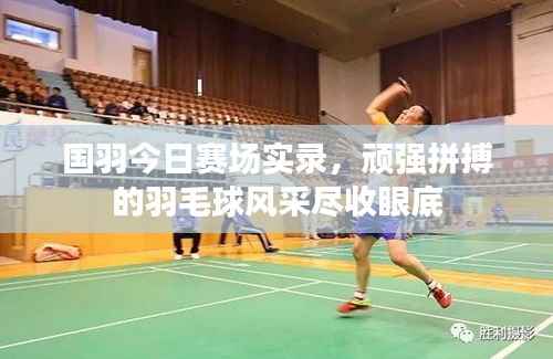 国羽今日赛场实录，顽强拼搏的羽毛球风采尽收眼底