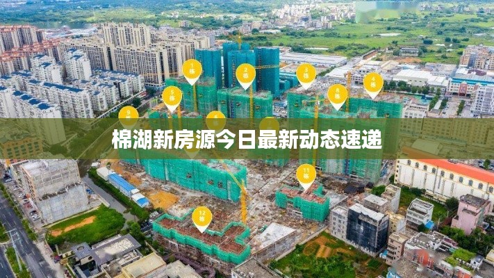 棉湖新房源今日最新动态速递