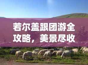 布衣蔬食 第4页