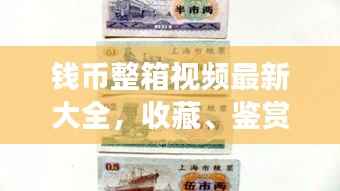 钱币整箱视频最新大全，收藏、鉴赏与投资的新视角全解析
