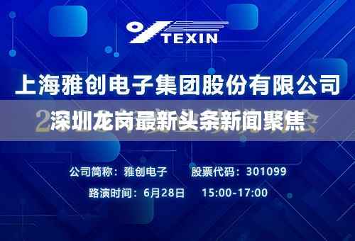 深圳龙岗最新头条新闻聚焦