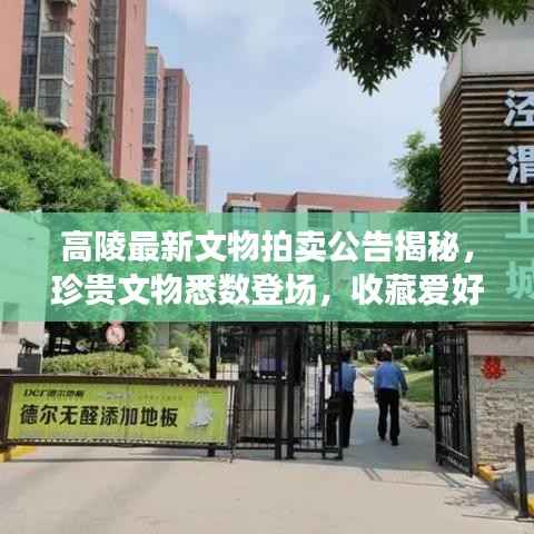 高陵最新文物拍卖公告揭秘，珍贵文物悉数登场，收藏爱好者不容错过！