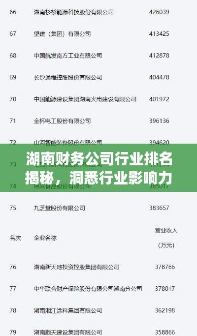 湖南财务公司行业排名揭秘，洞悉行业影响力与未来发展