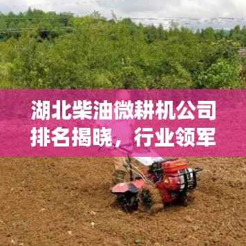 湖北柴油微耕机公司排名揭晓，行业领军者榜单揭秘！