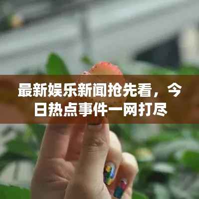 最新娱乐新闻抢先看，今日热点事件一网打尽