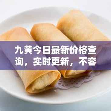 九黄今日最新价格查询,实时更新,不容错过!