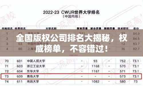 全国版权公司排名大揭秘，权威榜单，不容错过！