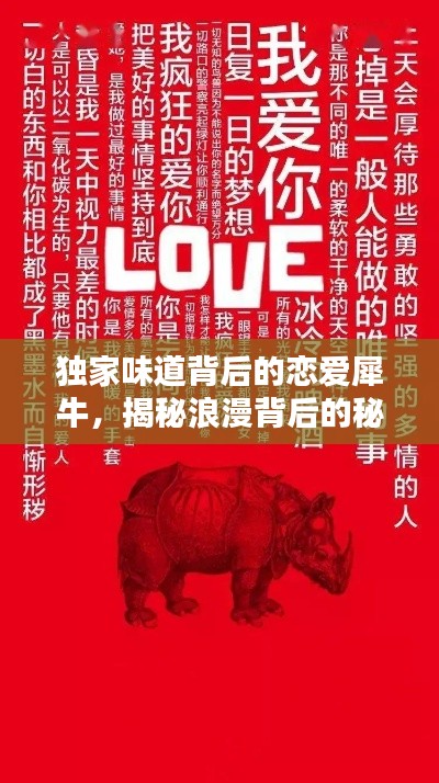 独家味道背后的恋爱犀牛，揭秘浪漫背后的秘密！