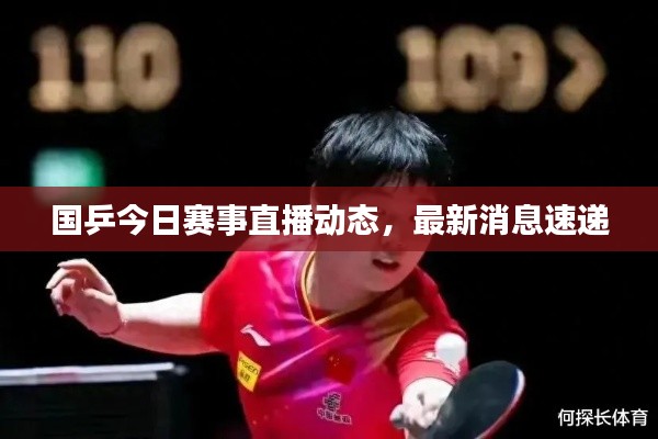 国乒今日赛事直播动态，最新消息速递