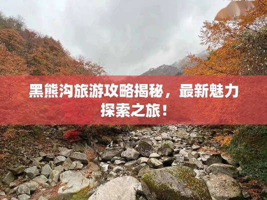 黑熊沟旅游攻略揭秘，最新魅力探索之旅！
