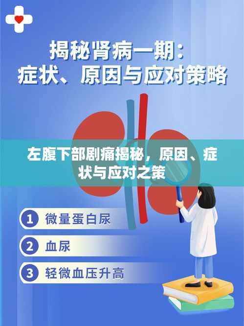 左腹下部剧痛揭秘，原因、症状与应对之策