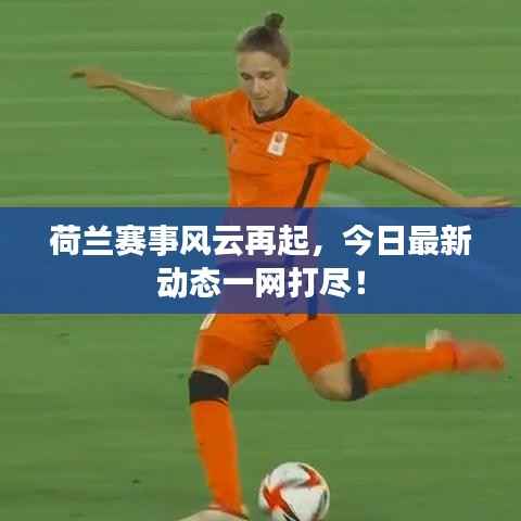 荷兰赛事风云再起,今日最新动态一网打尽!