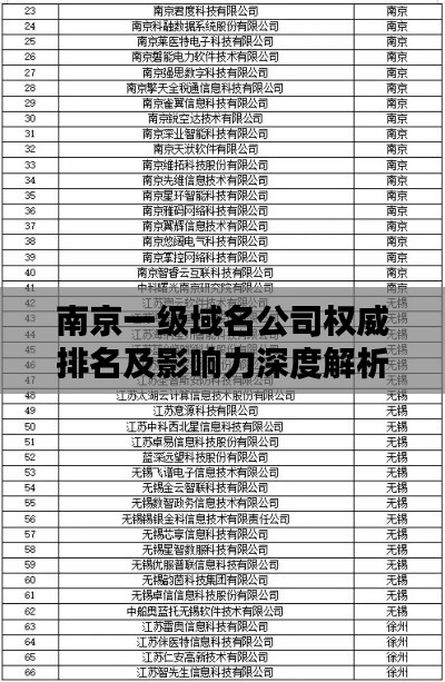 南京一级域名公司权威排名及影响力深度解析